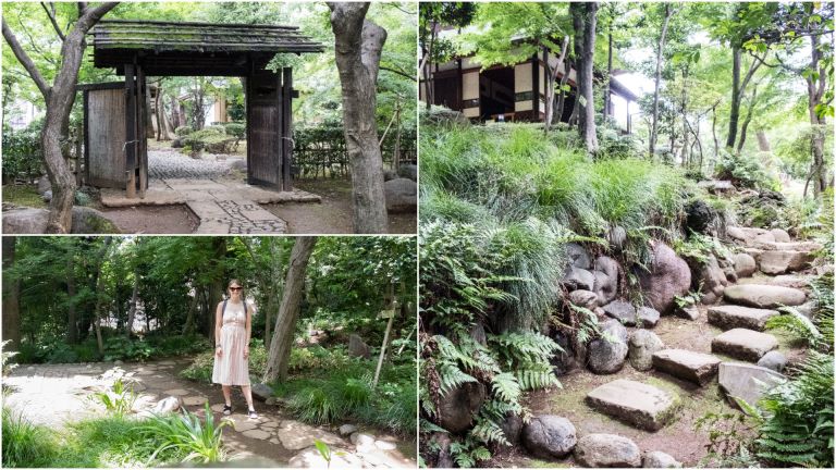 The gardens in